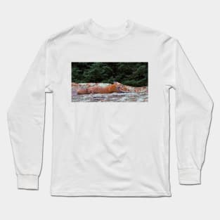 Red Fox Stretch - Algonquin Park, Canada Long Sleeve T-Shirt